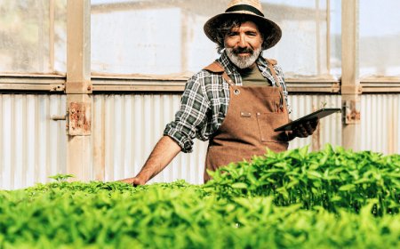 Kimler Topraksız Tarım Yapmalı?