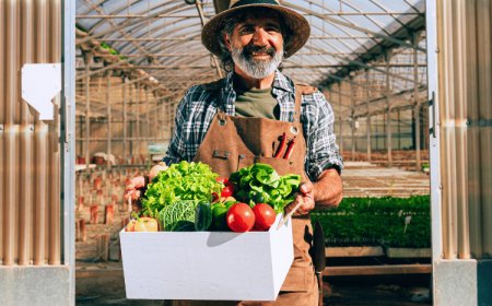 Topraksız Tarımın Avantajları ve Dezavantajları
