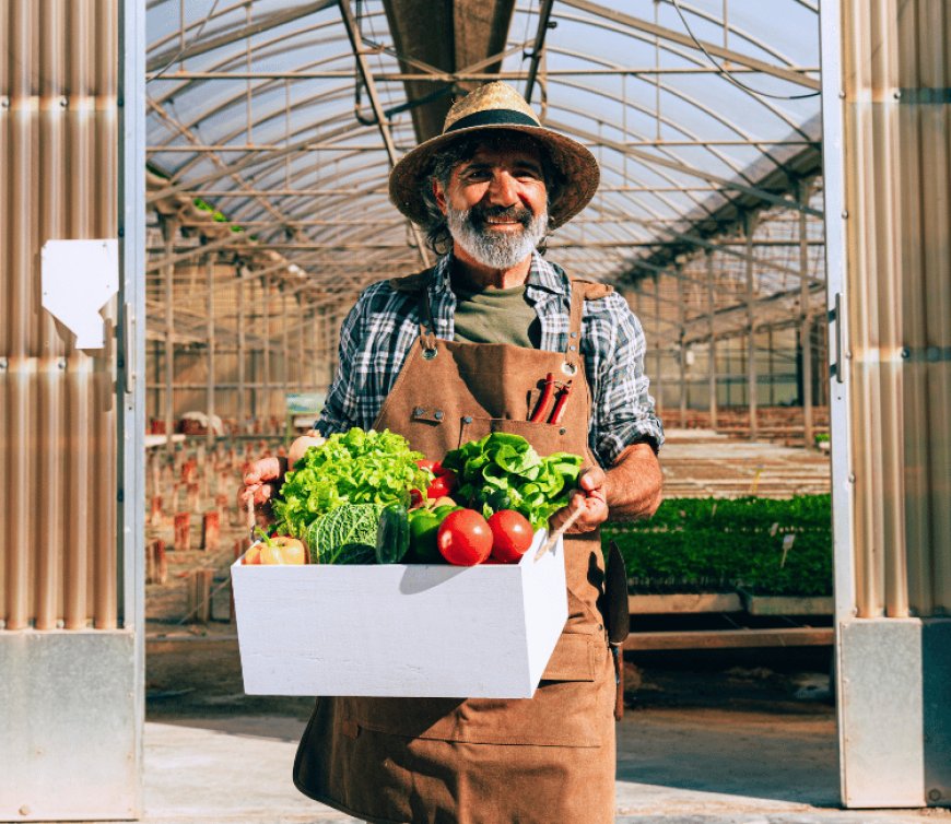 Topraksız Tarımın Avantajları ve Dezavantajları