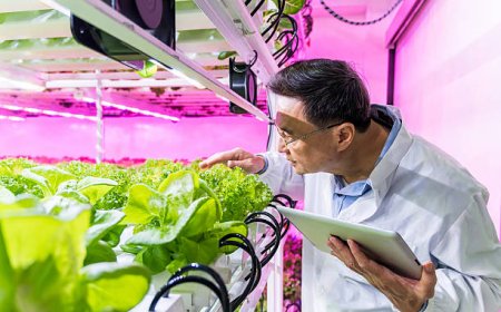 Veri Odaklı Topraksız Tarım