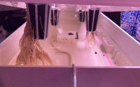 DWC (Derin Su Kültürü) Sistemi ile Topraksız Tarım