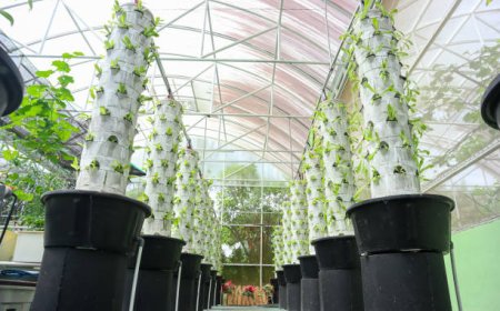 Topraksız Tarım Aeroponik Sistemler