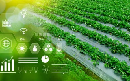 IoT Tabanlı Topraksız Tarım Otomasyon Sistemleri Nasıl Çalışır?