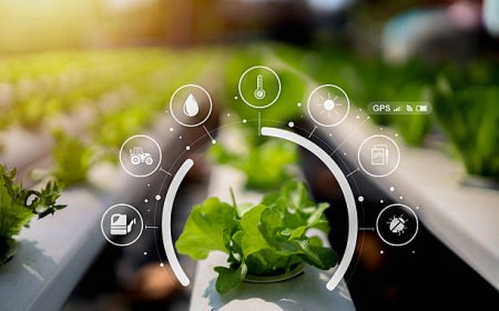 Yapay Zekâ Destekli Topraksız Tarım