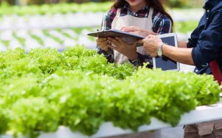 Smart Vesna Topraksız Tarım Otomasyon Sistemleri Nasıl Çalışır?