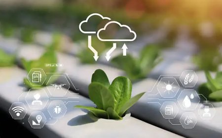 Akıllı Sensörler ile Topraksız Tarımda Maksimum Verim