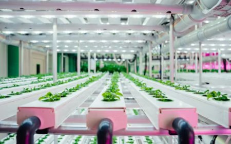 Smart Vesna ile Uzaktan Sera Yönetimi ve Kontrol