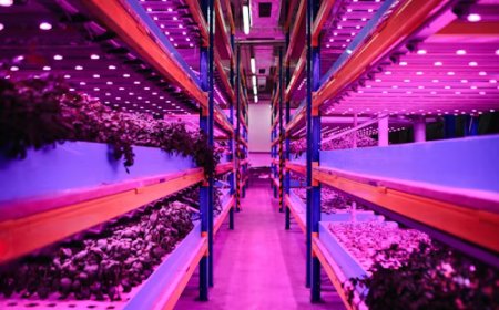 Manuel Sistemlerden Akıllı Tarıma Geçiş