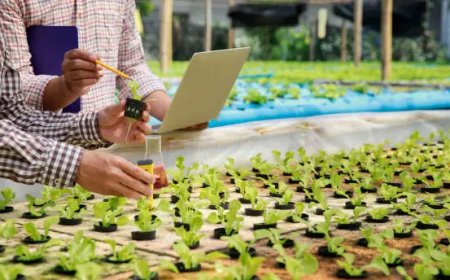 Bitki Bazlı Besin Reçeteleri ve Smart Vesna Uygulamaları