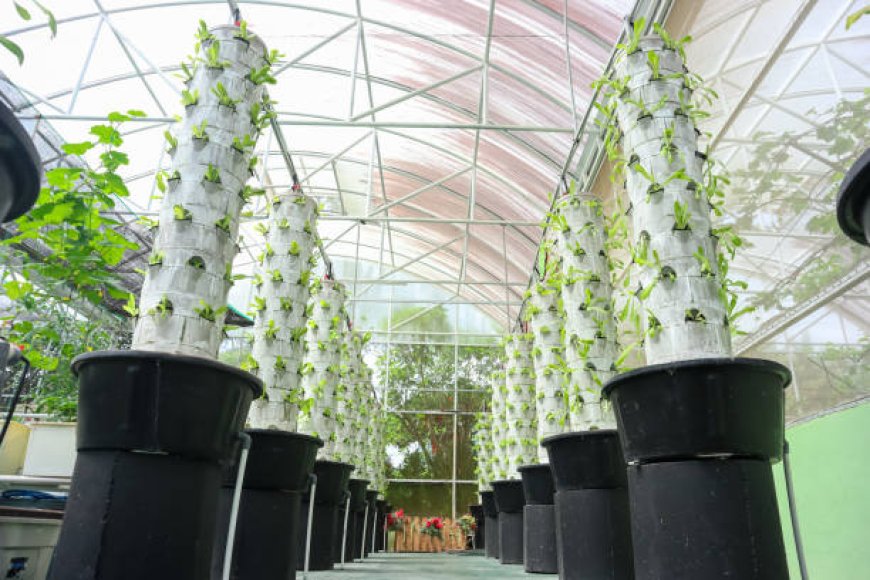 Topraksız Tarım Aeroponik Sistemler