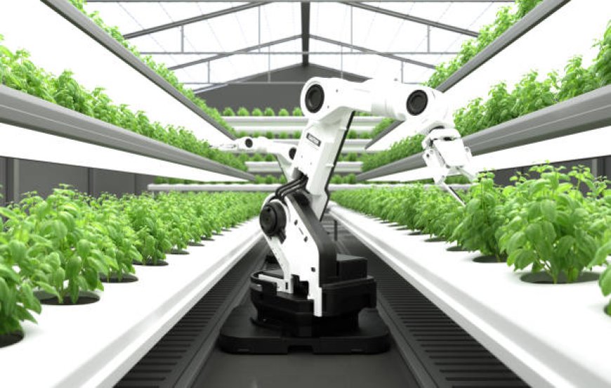 Endüstri 4.0 Perspektifinden Topraksız Tarım Sistemleri