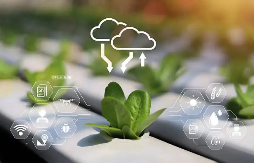 Akıllı Sensörler ile Topraksız Tarımda Maksimum Verim
