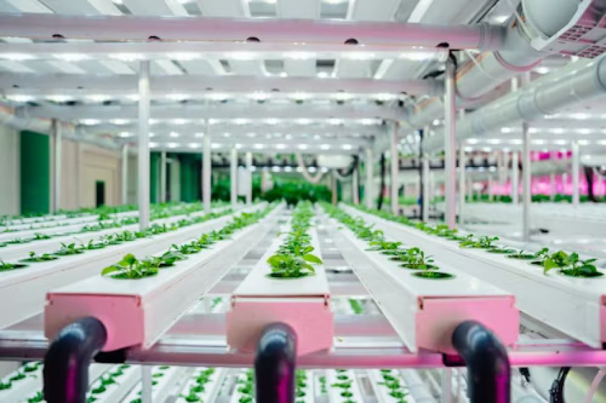 Smart Vesna ile Uzaktan Sera Yönetimi ve Kontrol