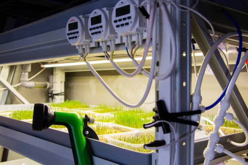 Topraksız Tarımda Periyodik Dozajlama